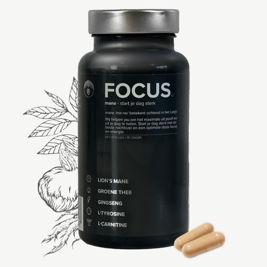 FOCUS: Formule voor Focus & Energie